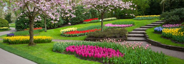 Parque Keukenhof holanda tulipanes 8