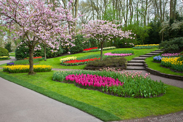 Parque Keukenhof holanda tulipanes 8