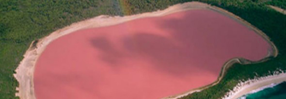 lago rosa
