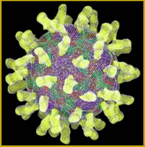 virus resfriado comun