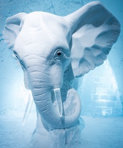 elefante