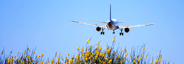 ¿Cómo vuelan los aviones?