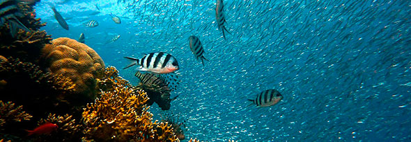 ¿Sabías que la primavera también se nota en el mar?