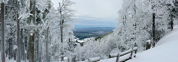 Palabras para la nieve y el hielo