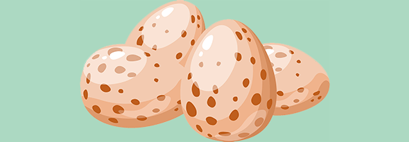 ¿Sabías cual es el animal que pone los huevos más grandes?