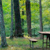 Trucos naturales para encontrar el norte Trucos naturales para encontrar el norte